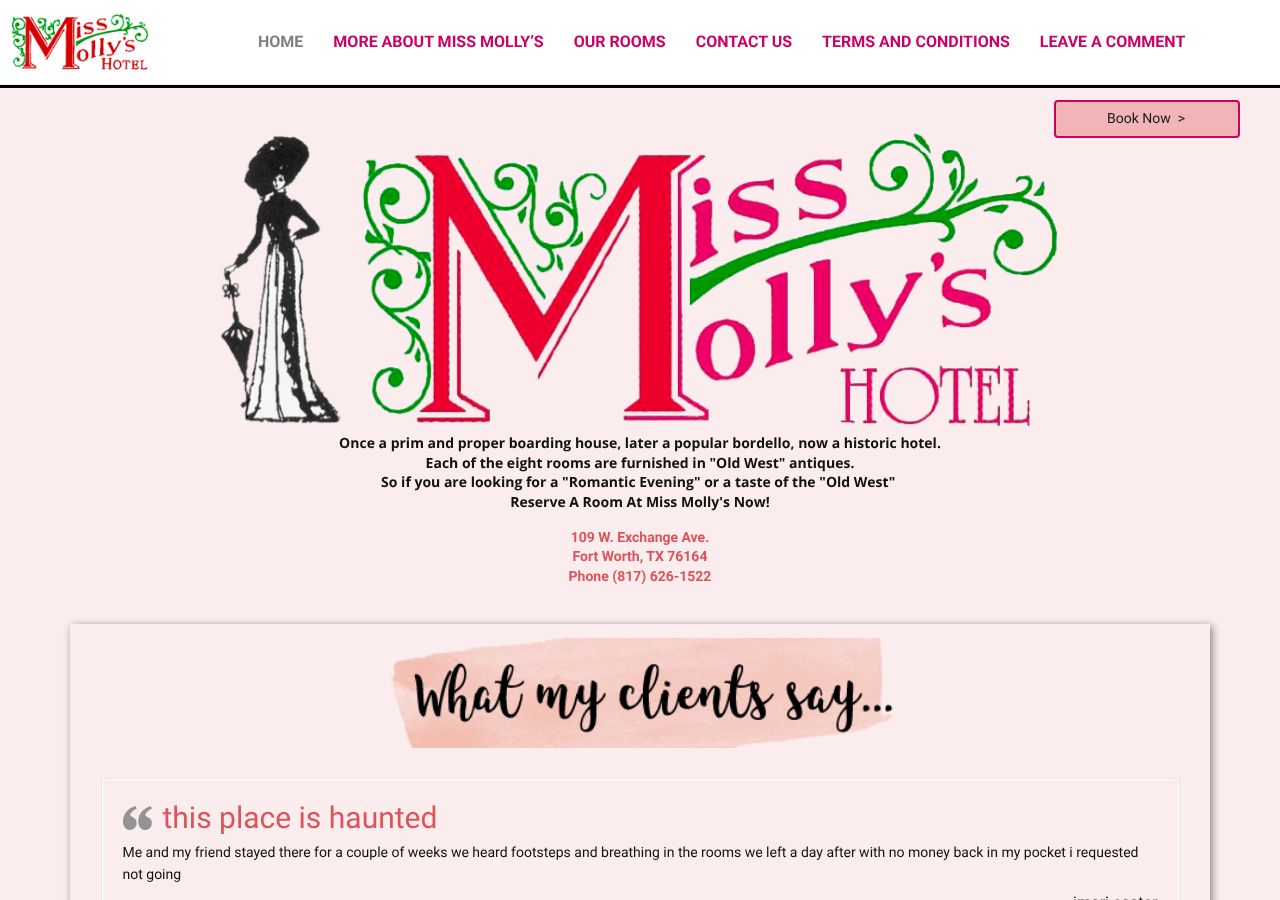 Homepage snapshot of Miss Molly's Hotel