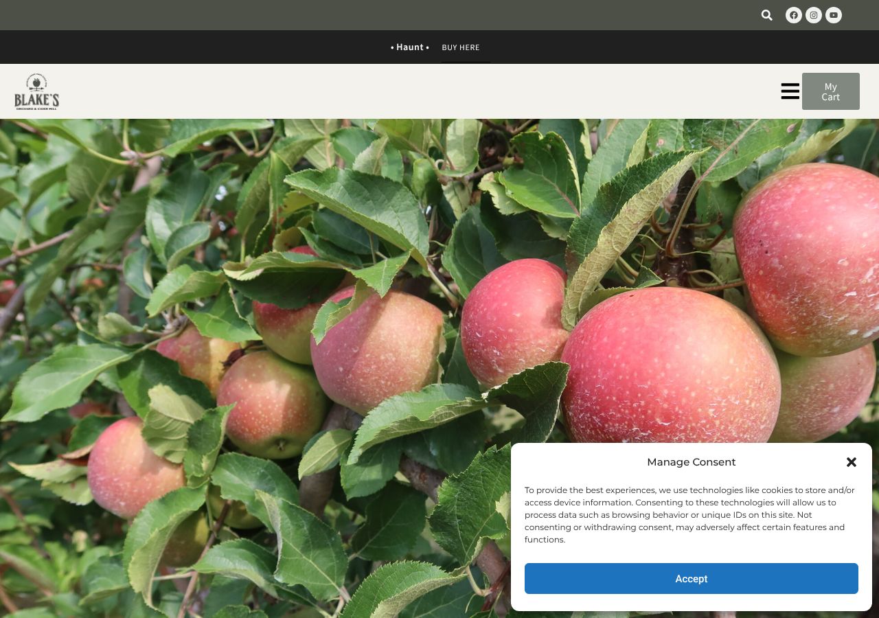 Homepage snapshot of Blake's Big Apple