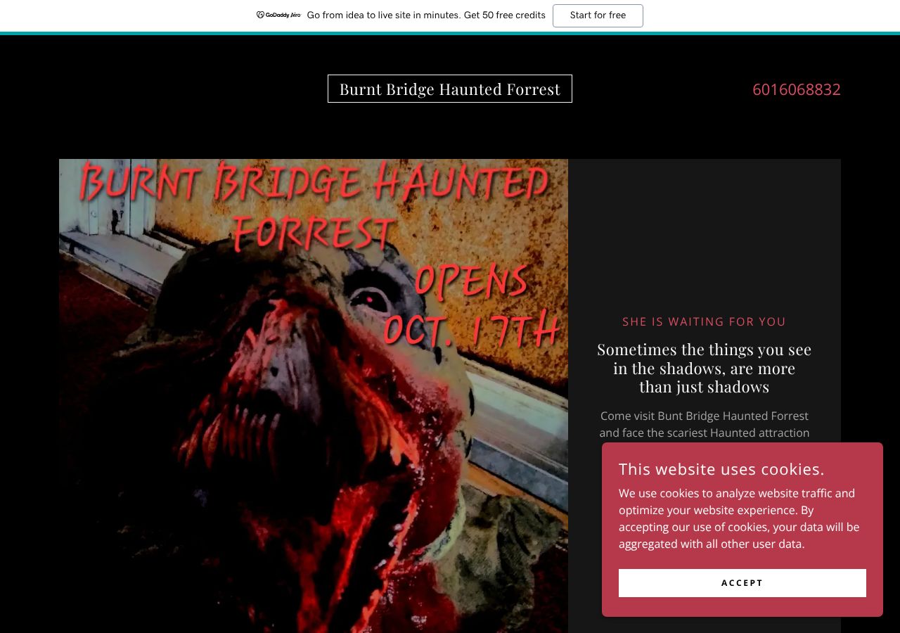 Homepage snapshot of Burnt Bridge Haunted Forrest
