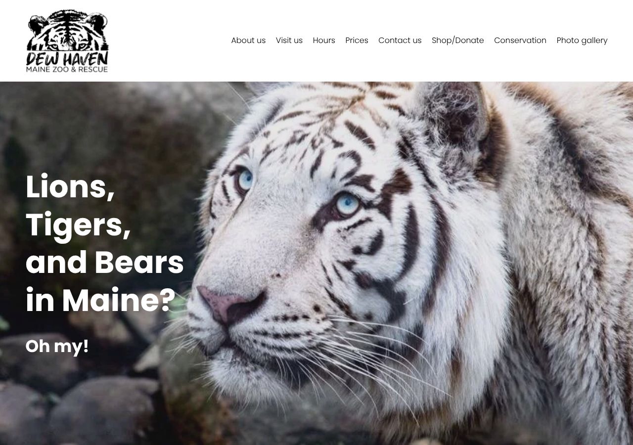 Homepage snapshot of DEW Haven | Maine Zoo and Rescue