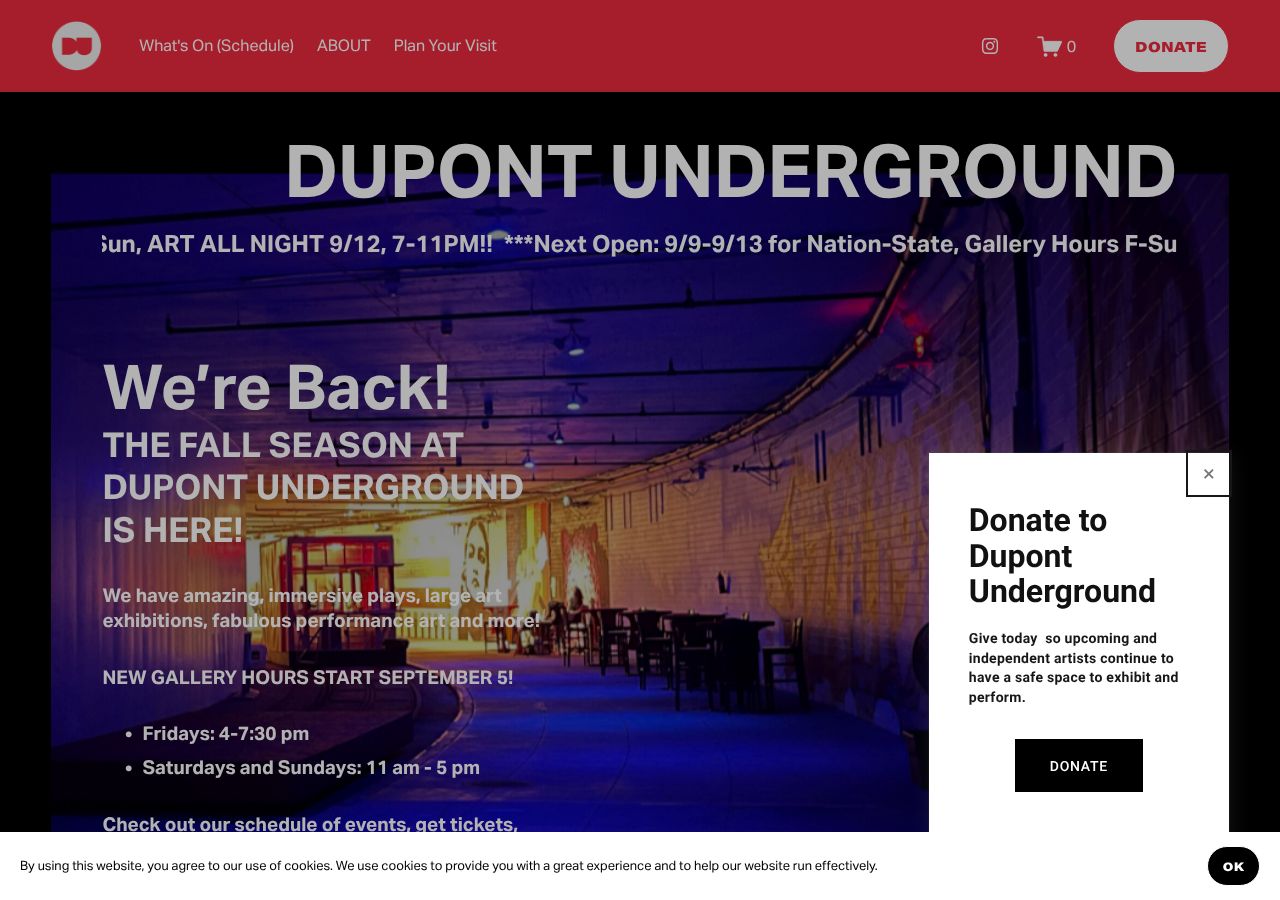 Homepage snapshot of Dupont Underground
