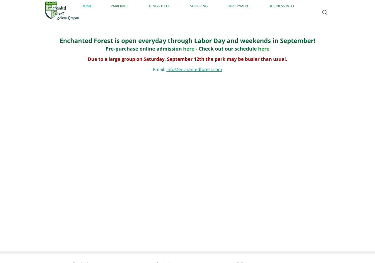 Homepage snapshot of Enchanted Forest