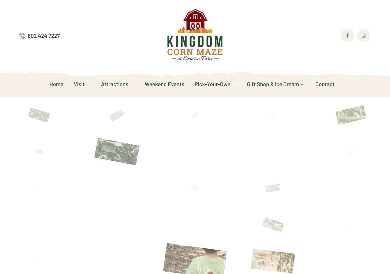Homepage snapshot of Kingdom Corn Maze & Pumpkin Patch at Simpson Farm