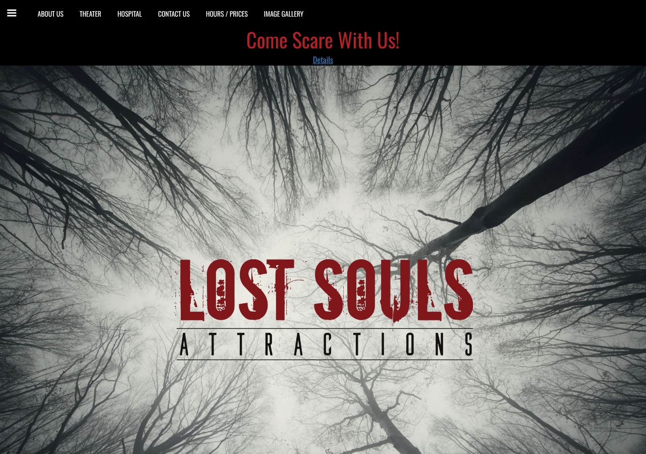Homepage snapshot of Lost Souls Attractions