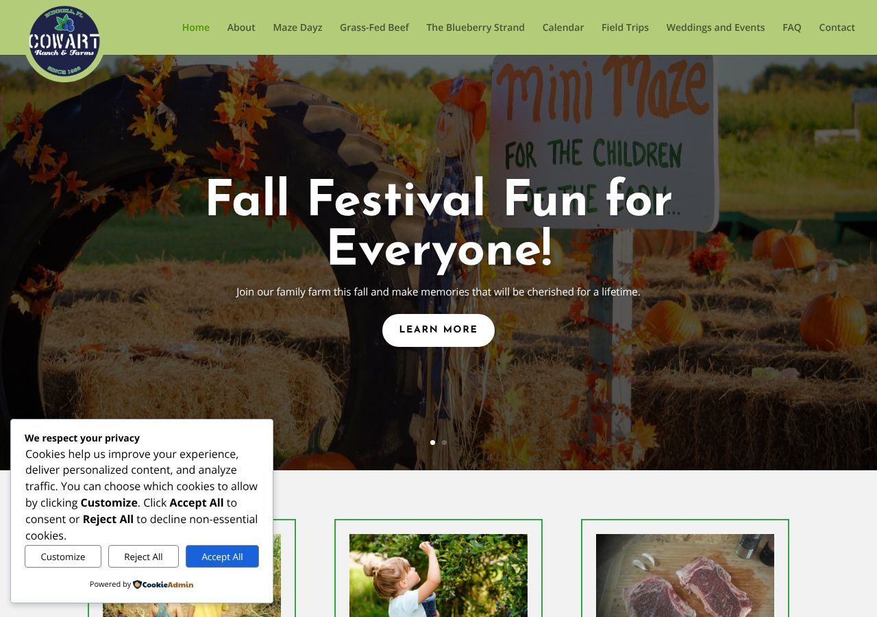 Homepage snapshot of Maze Dayz