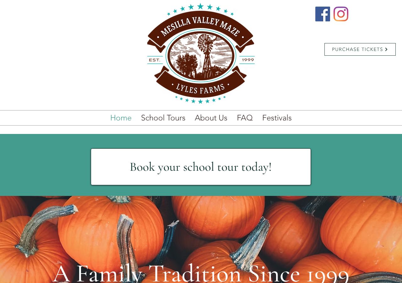 Homepage snapshot of Mesilla Valley Maze