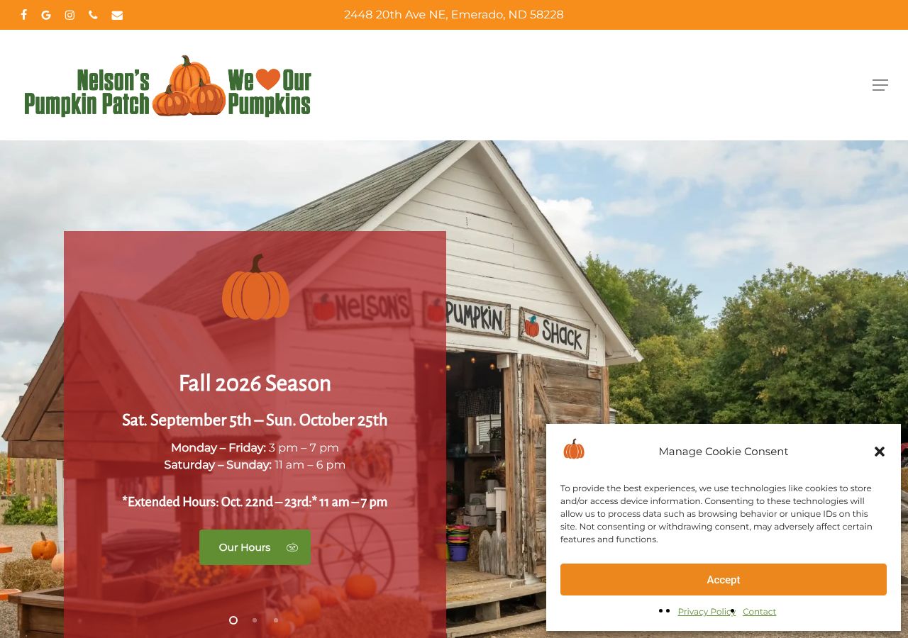 Homepage snapshot of Nelson's Pumpkin Patch