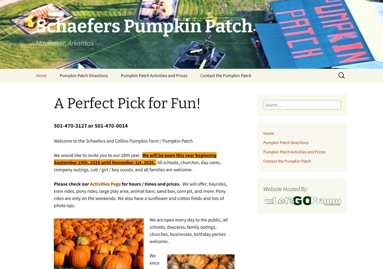 Homepage snapshot of Schaefer's Pumpkin Patch