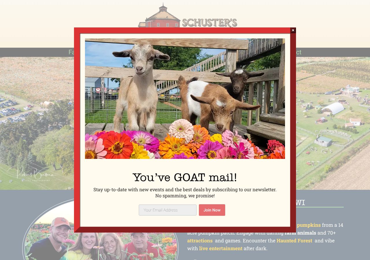 Homepage snapshot of Schuster's Farm