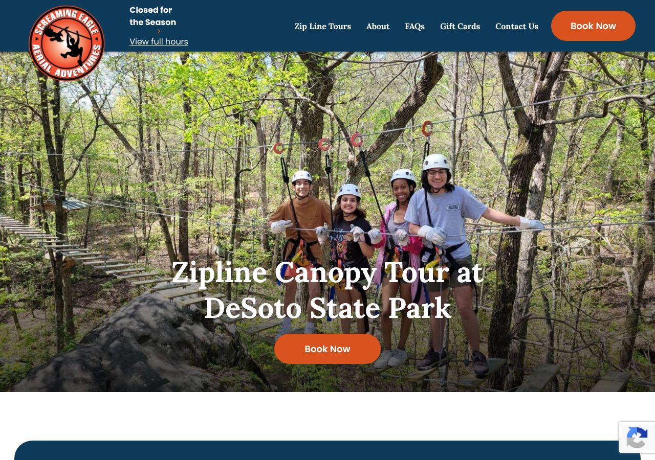 Homepage snapshot of Screaming Eagle Aerial Adventures at DeSoto Falls State Park