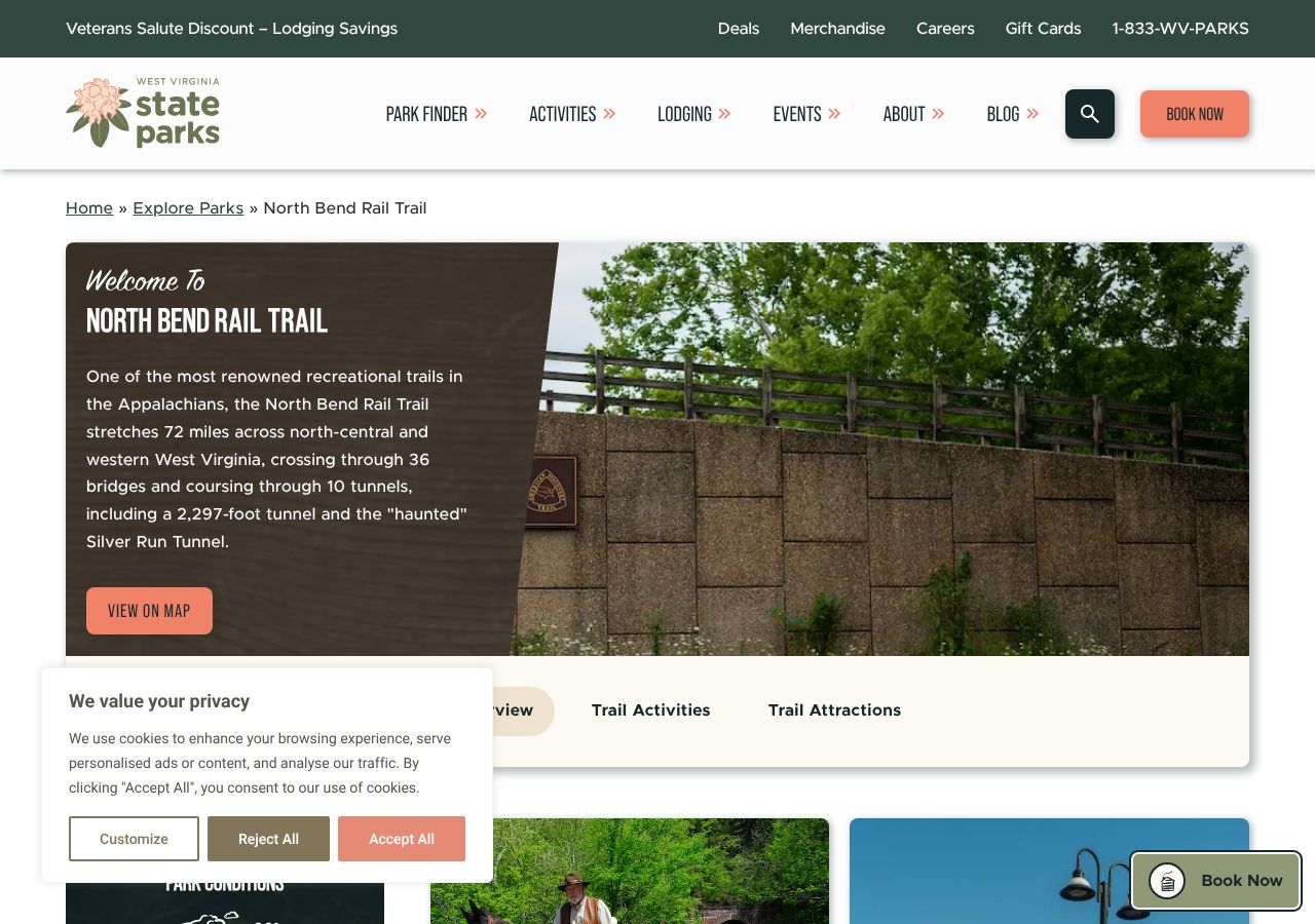 Homepage snapshot of Silver Run Tunnel #19