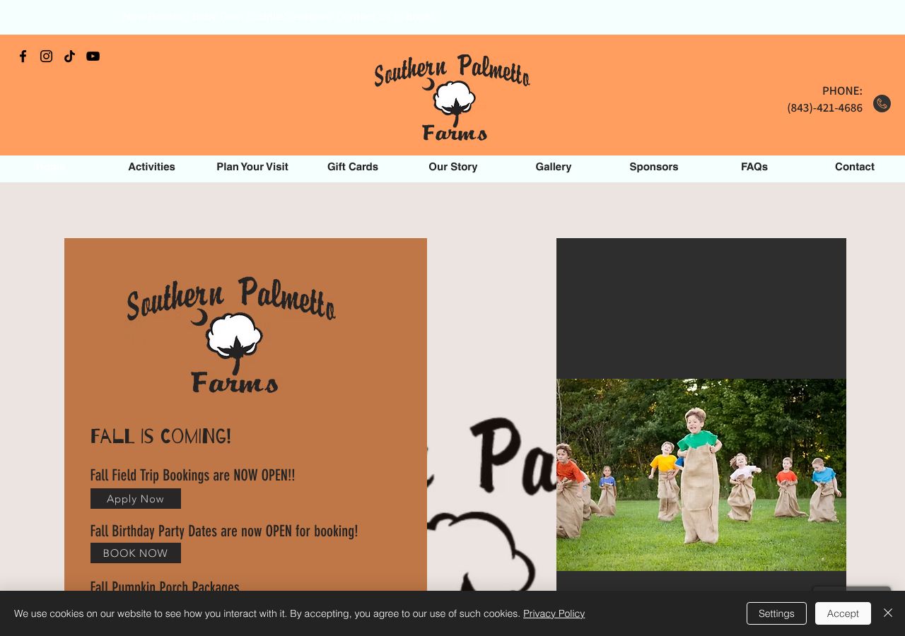Homepage snapshot of Southern Palmetto Farms