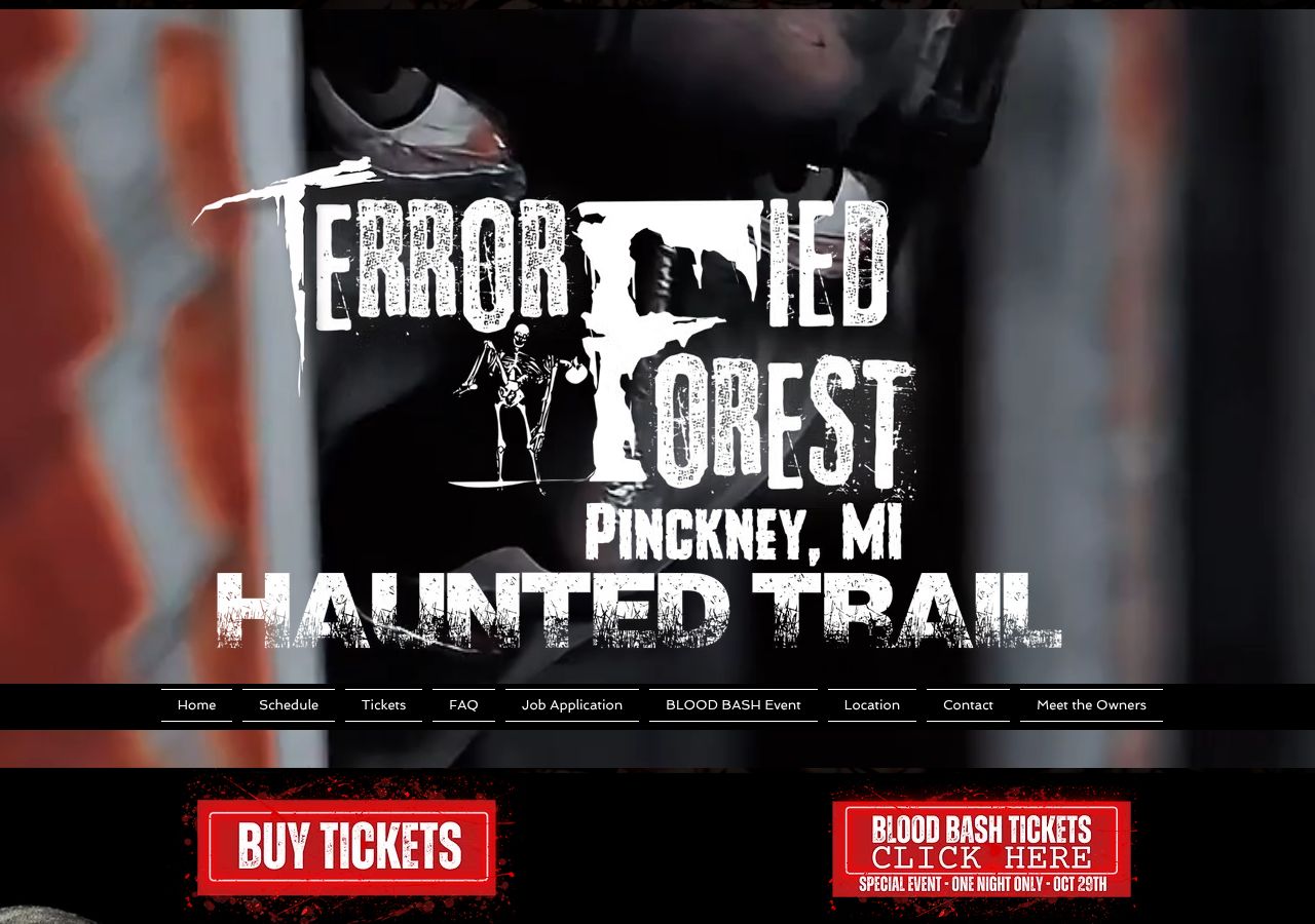 Homepage snapshot of Terrorfied Forest