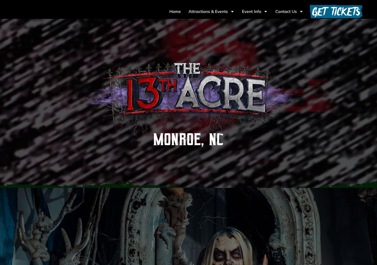 Homepage snapshot of The 13th Acre