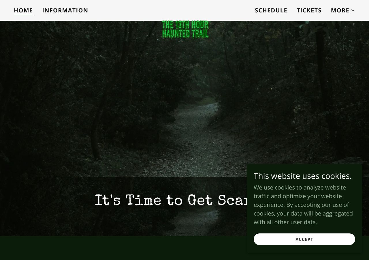Homepage snapshot of THE 13TH HOUR