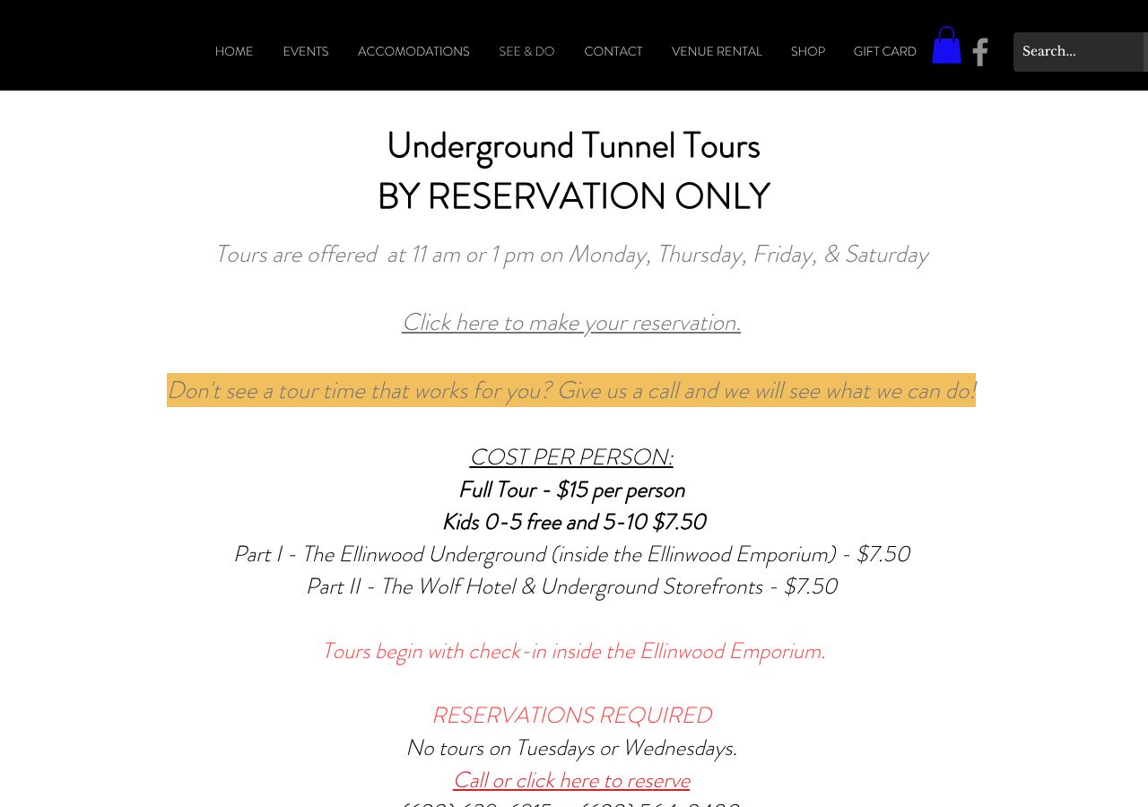 Homepage snapshot of The Ellinwood Emporium & Underground Tunnel Tours