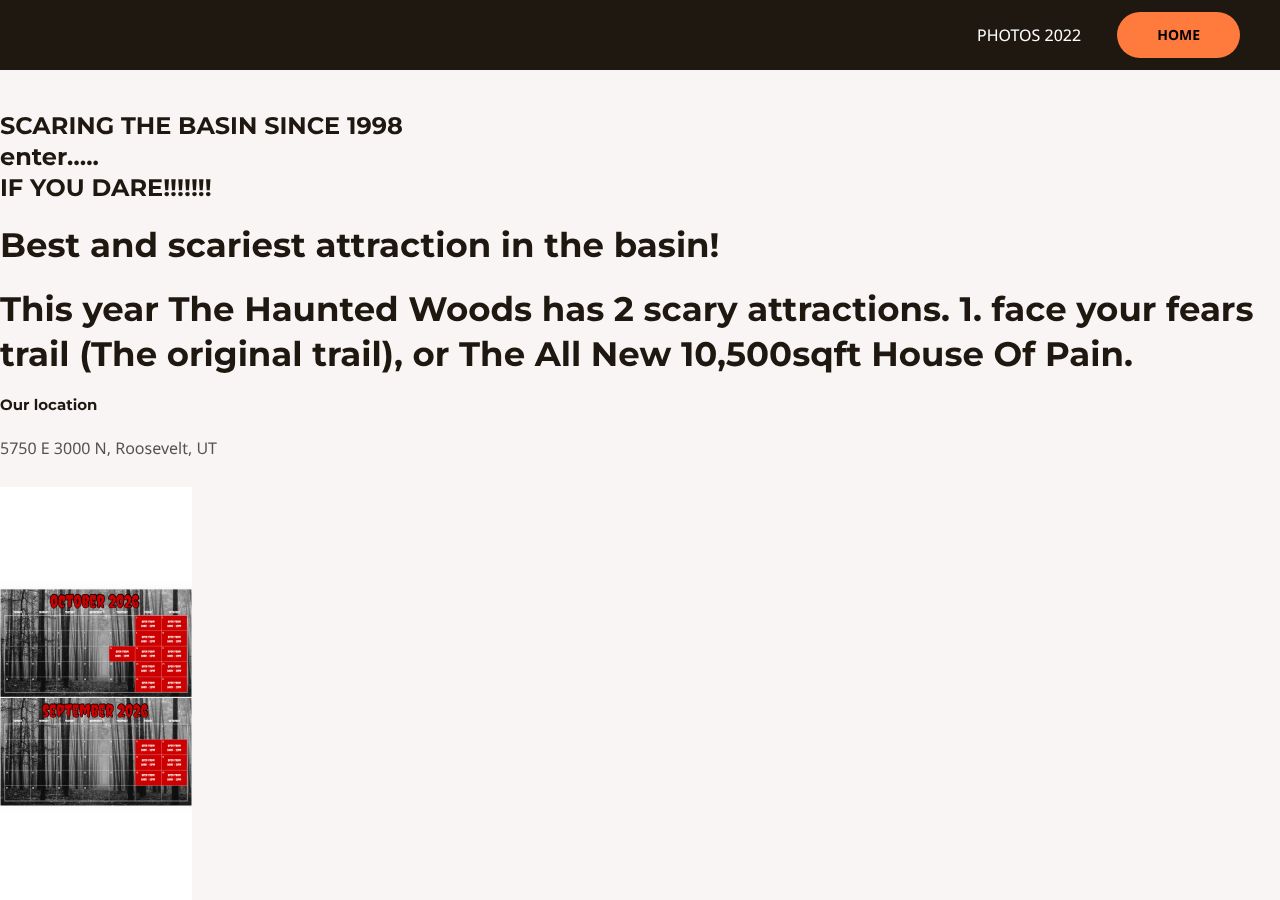 Homepage snapshot of The Haunted Woods