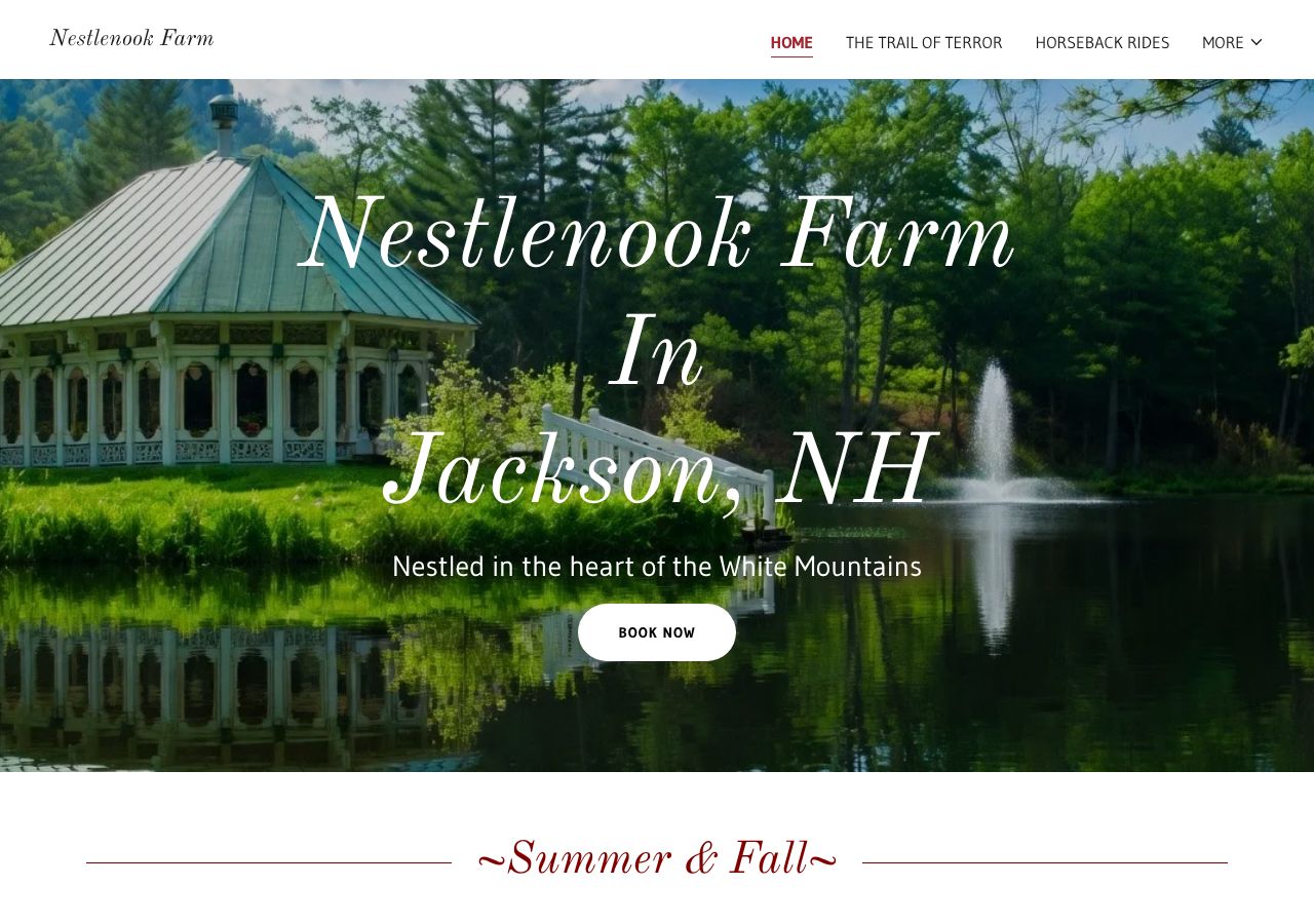 Homepage snapshot of The Trail of Terror