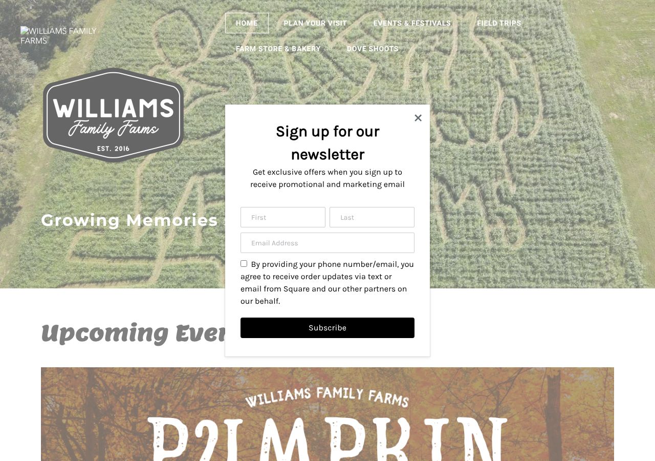 Homepage snapshot of Williams Family Farms
